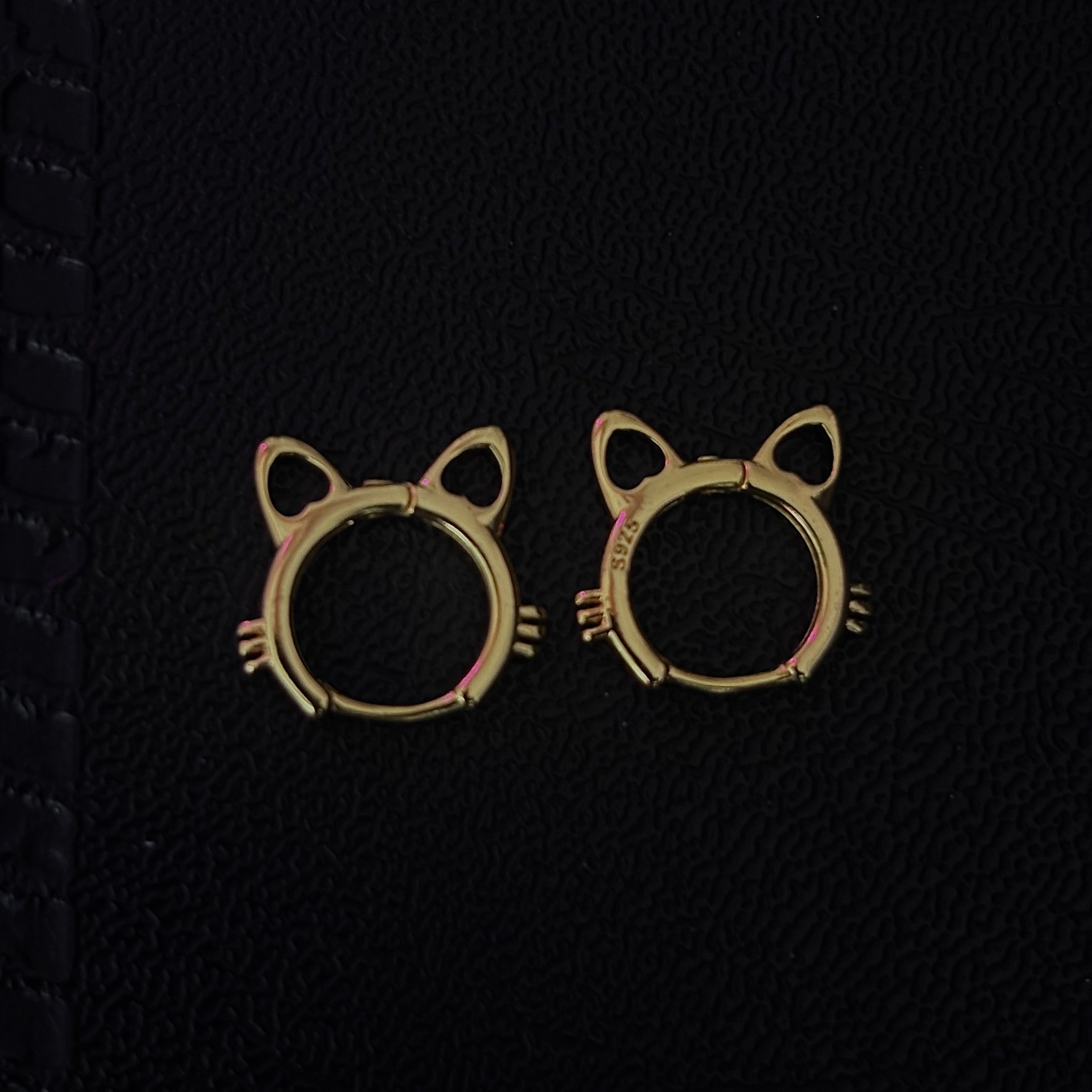 Aretes argolla AG048