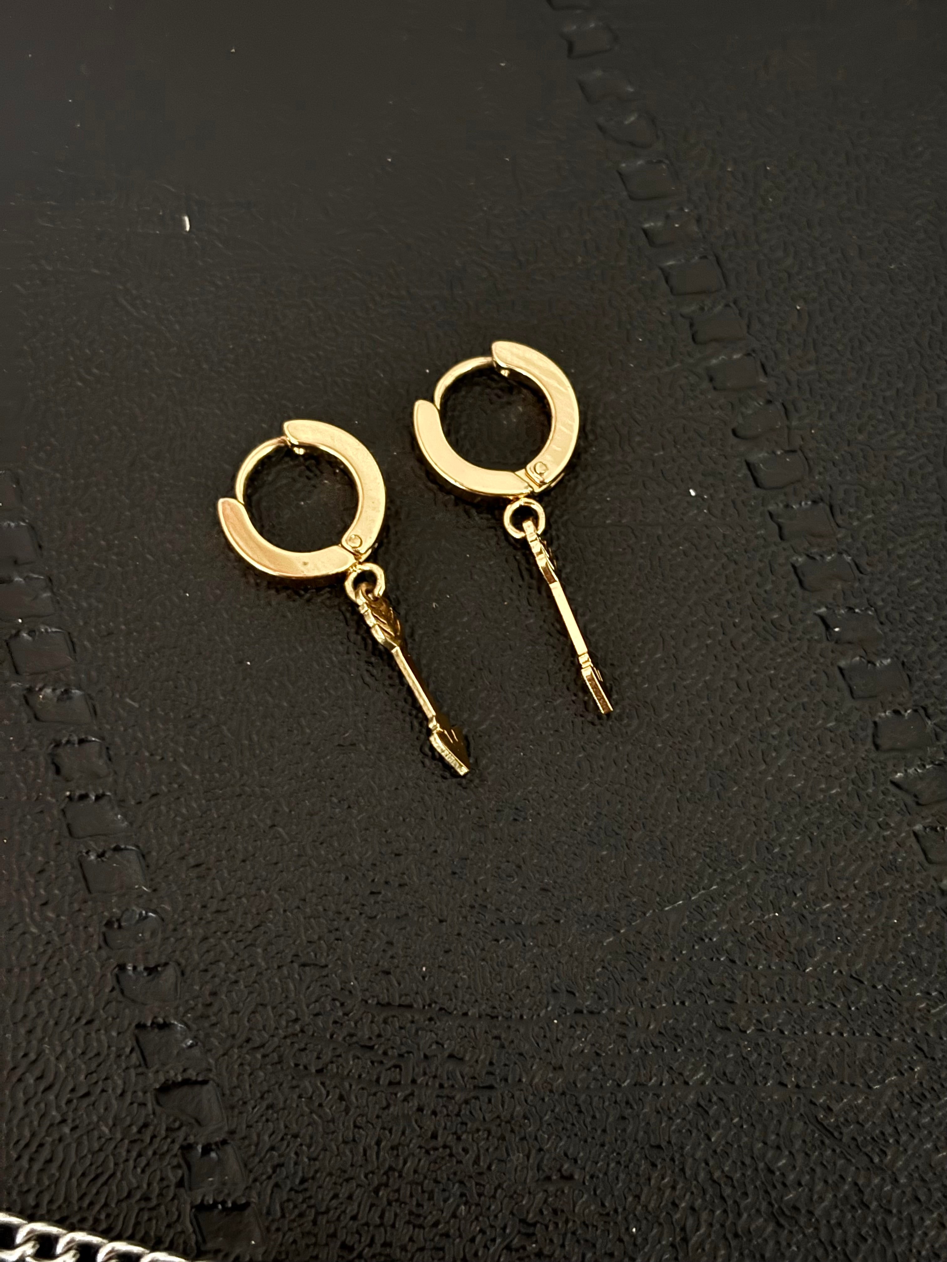 Aretes argolla AG011