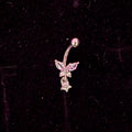 Piercing ceja / rook c040