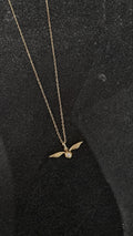 Collar unisex cx012