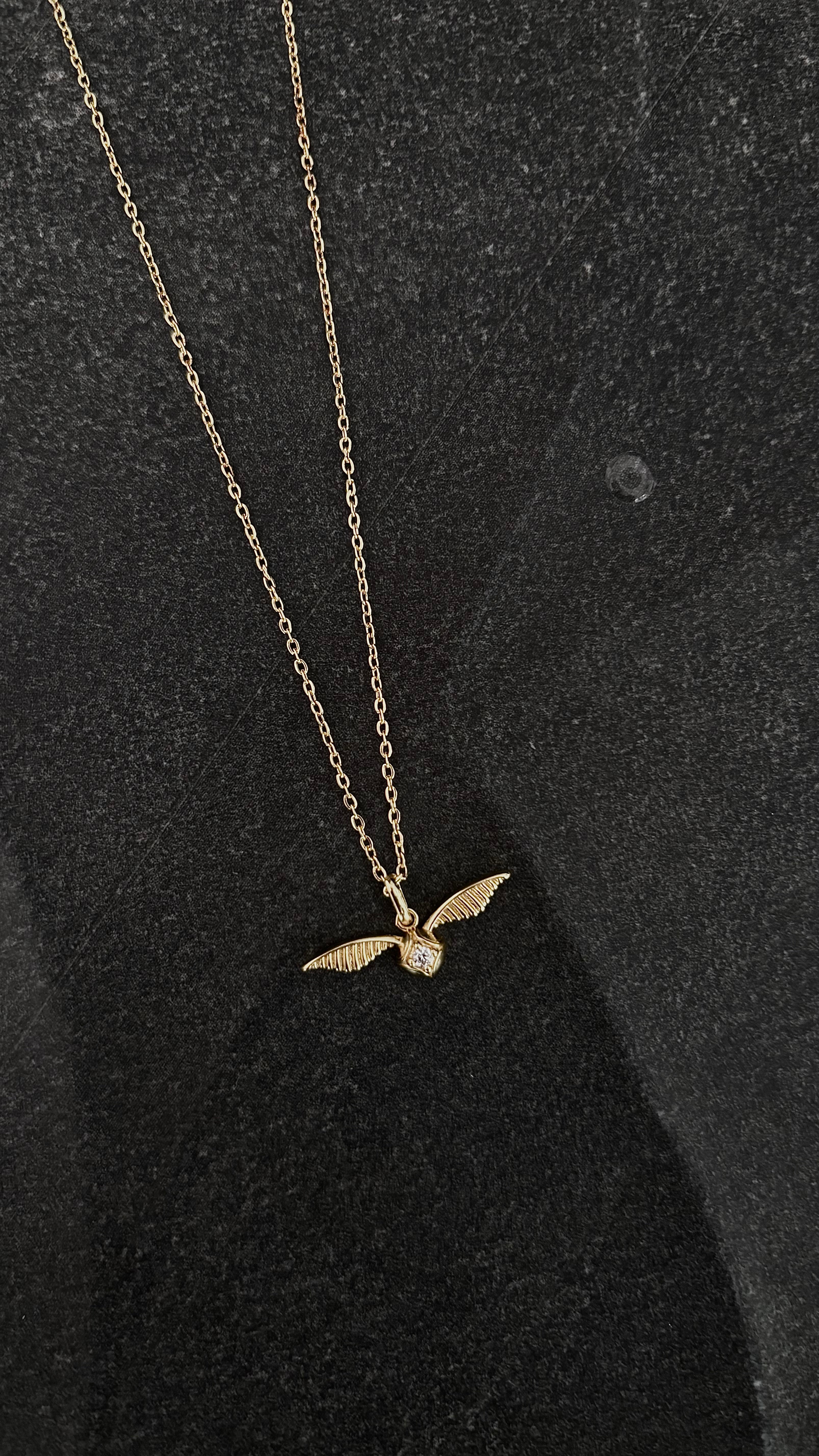Collar unisex cx012