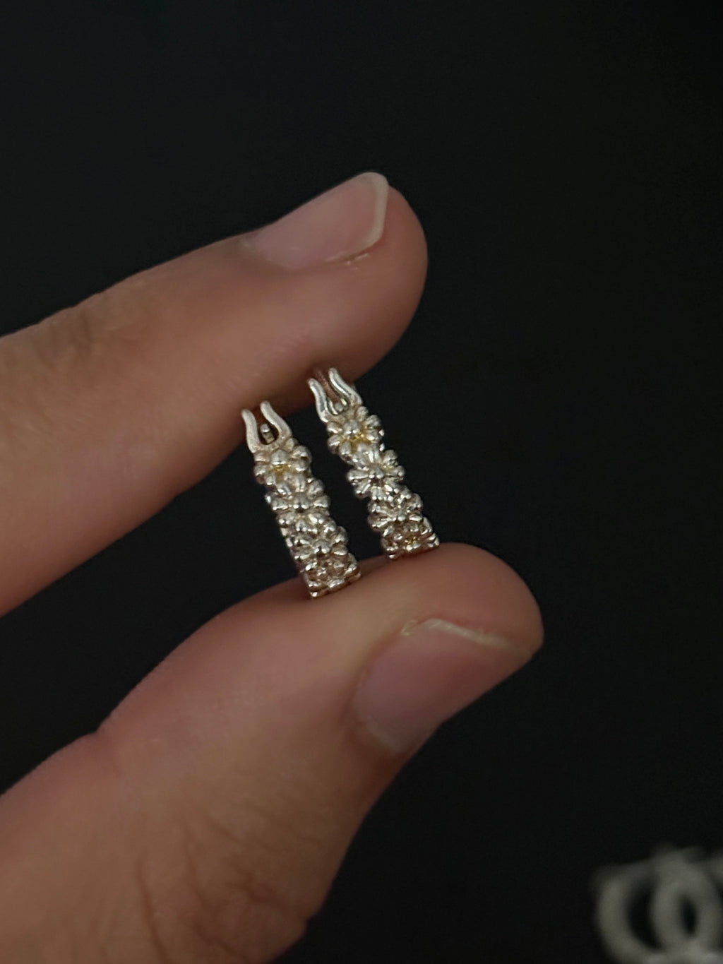 Aretes argolla AG035