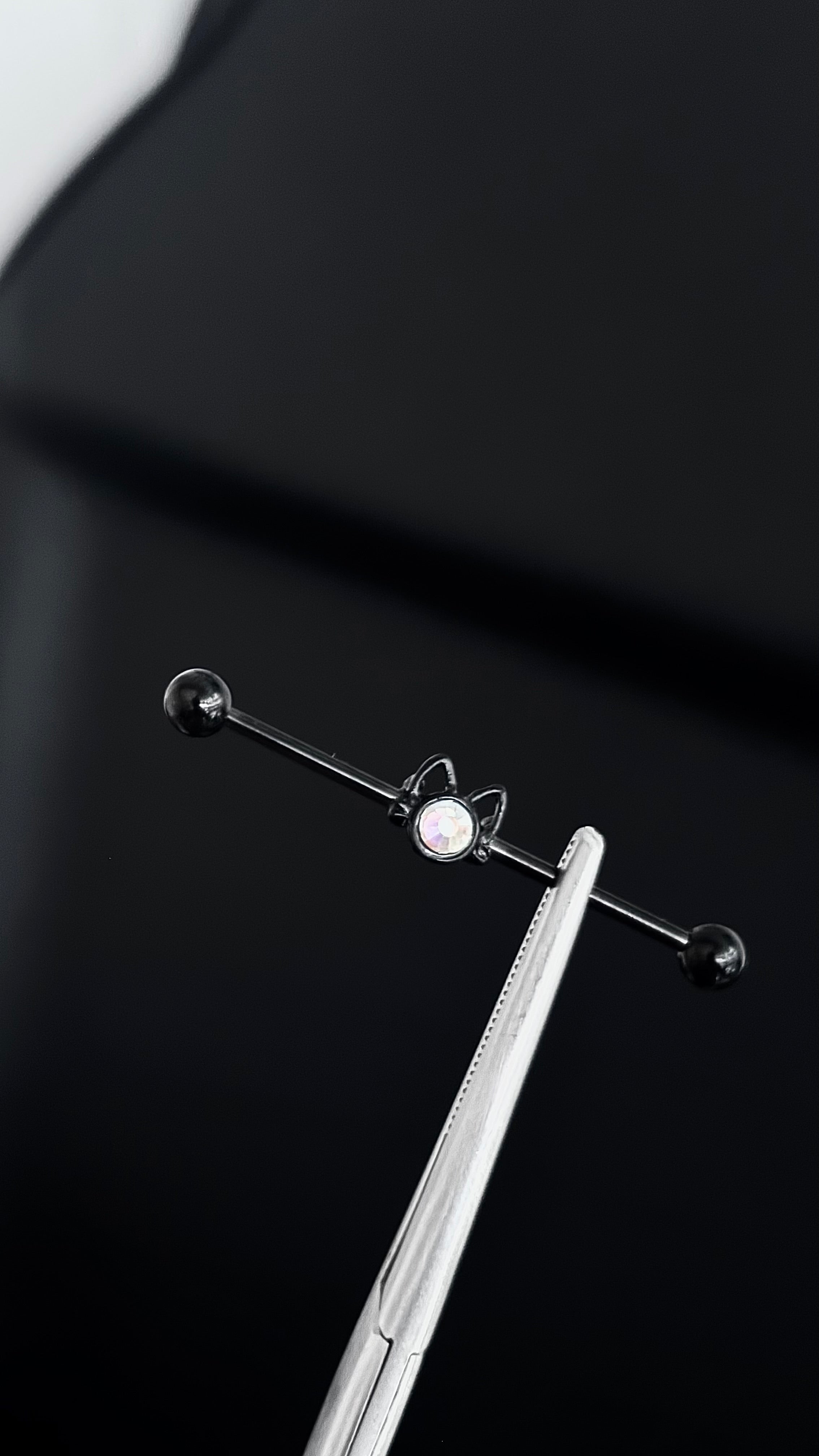 Piercing industrial i013